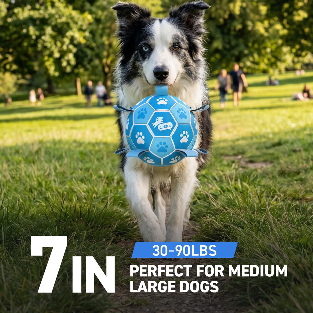 QDAN Dog Soccer Balls Toys: Premium Dog Soccer Ball with Straps, Outdoor Dog Toys, Pet Training Soccer for Medium Large (7 Inch)