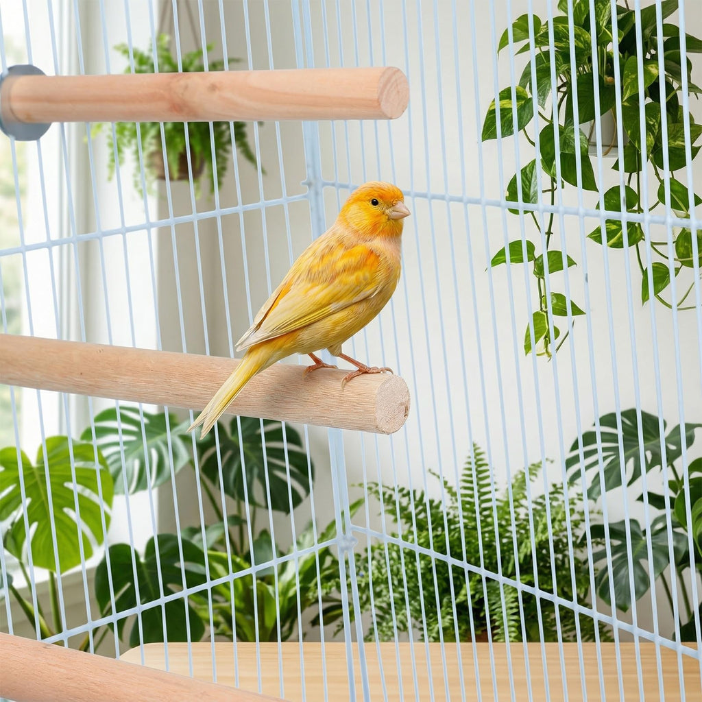 Angoily Dowel Wood Bird Perch Stand Set, Parakeet Perches Parrot Stand Rods