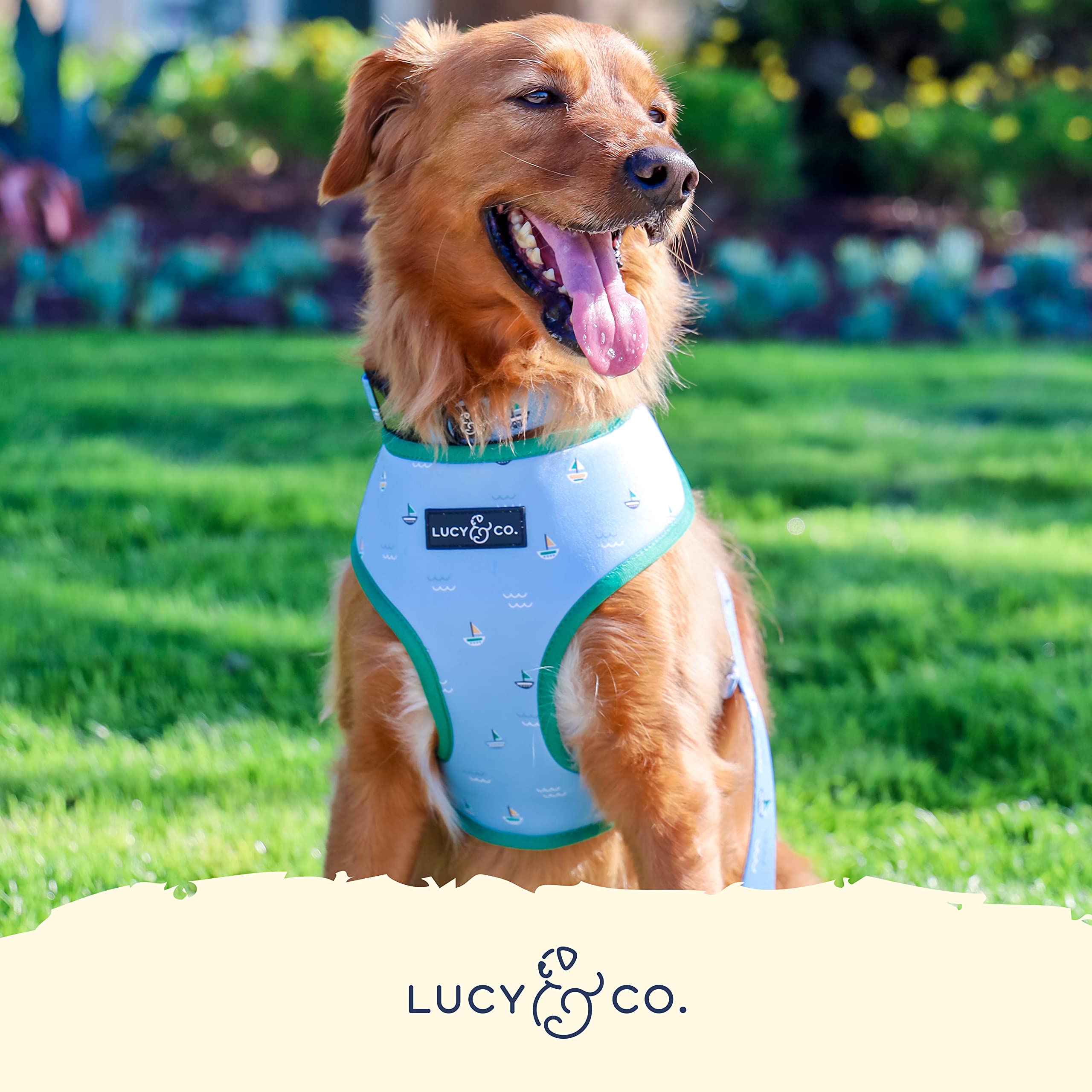 Lucy & Co. Reversible Dog Harness - Water-Repellent Neoprene, Dual-Print Design, Easy Swap Style, Adjustable Comfort Fit - Set Sail Reversible Harness - Small