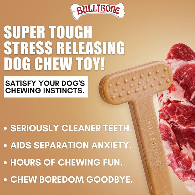 Bullibone Nylon Dog Chew Toy for Aggressive Chewers - Dental Hygiene Bone with Beef Flavor, Durable Tough Chew Toys for Large Dogs, Indestructible Dog Bone - 2 Pack
