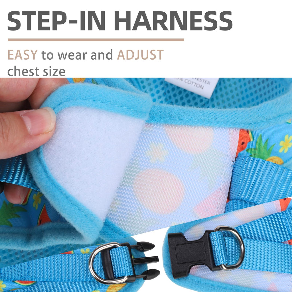 PUPTECK Dog Harness, Collar and Leash Set No Pull for Small Medium Sized