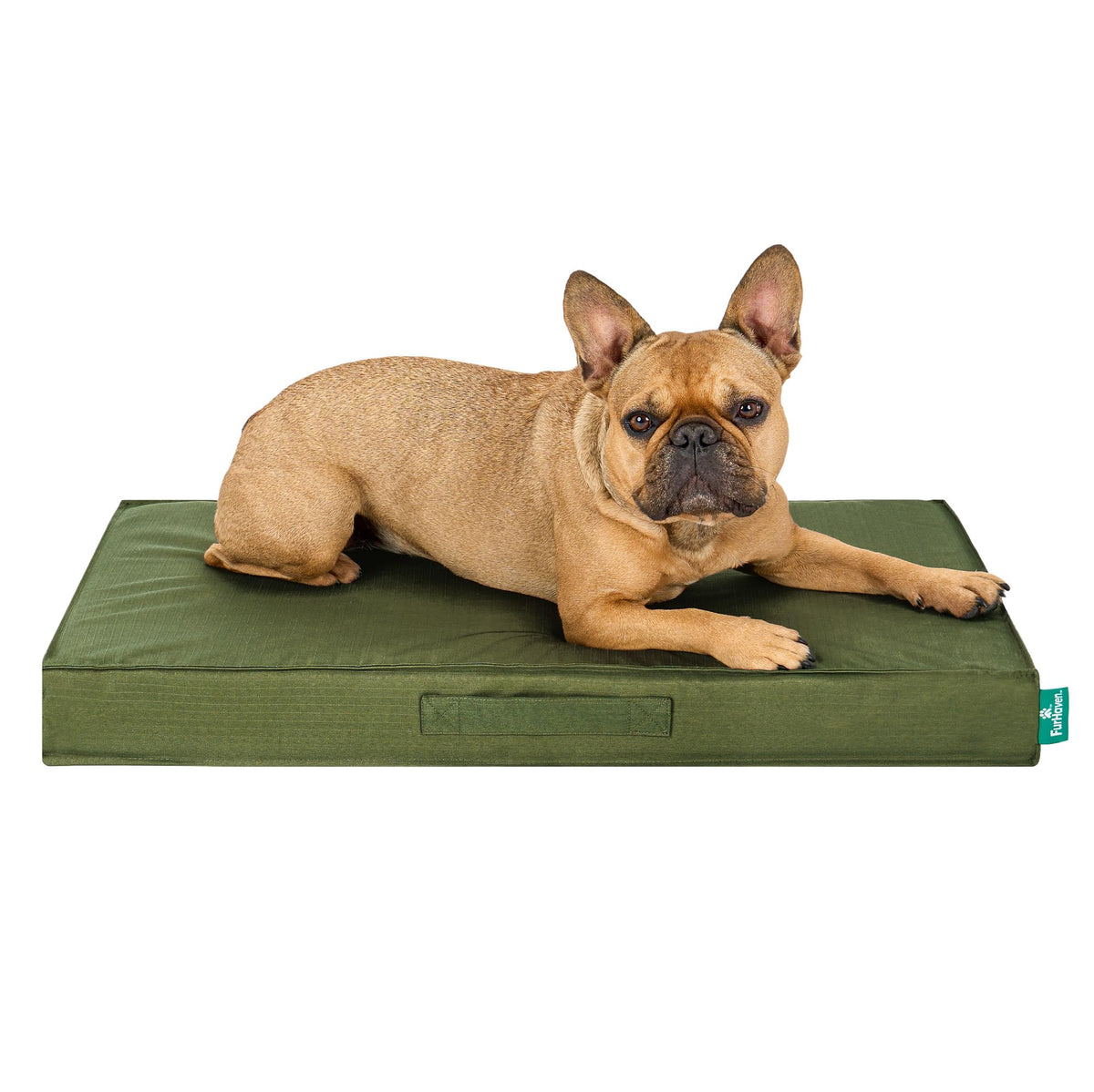 Furhaven Water-Resistant Cooling Gel Dog Bed for Large/Medium Dogs w/ Removable Washable Cover, For Dogs Up to 55 lbs - Indoor/Outdoor Logo Print Oxford Polycanvas Mattress - Forest, Large
