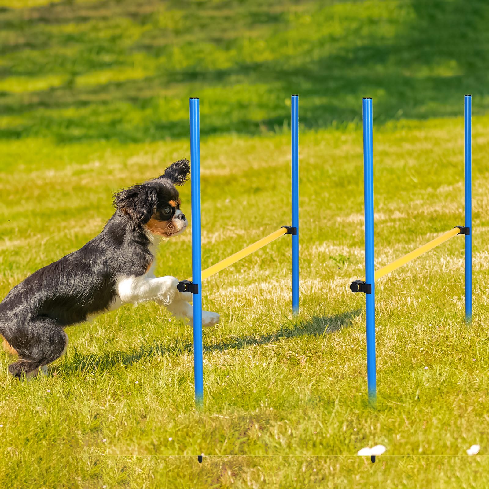 Hollowfly 8 Set Dog Agility Jump Adjustable Dog Agility Hurdle Training Equipment Portable Jumper Hurdle Park Indoor Outdoor Exercise Tool 3.44ft High/ 2.95ft Wide(Blue and Yellow)