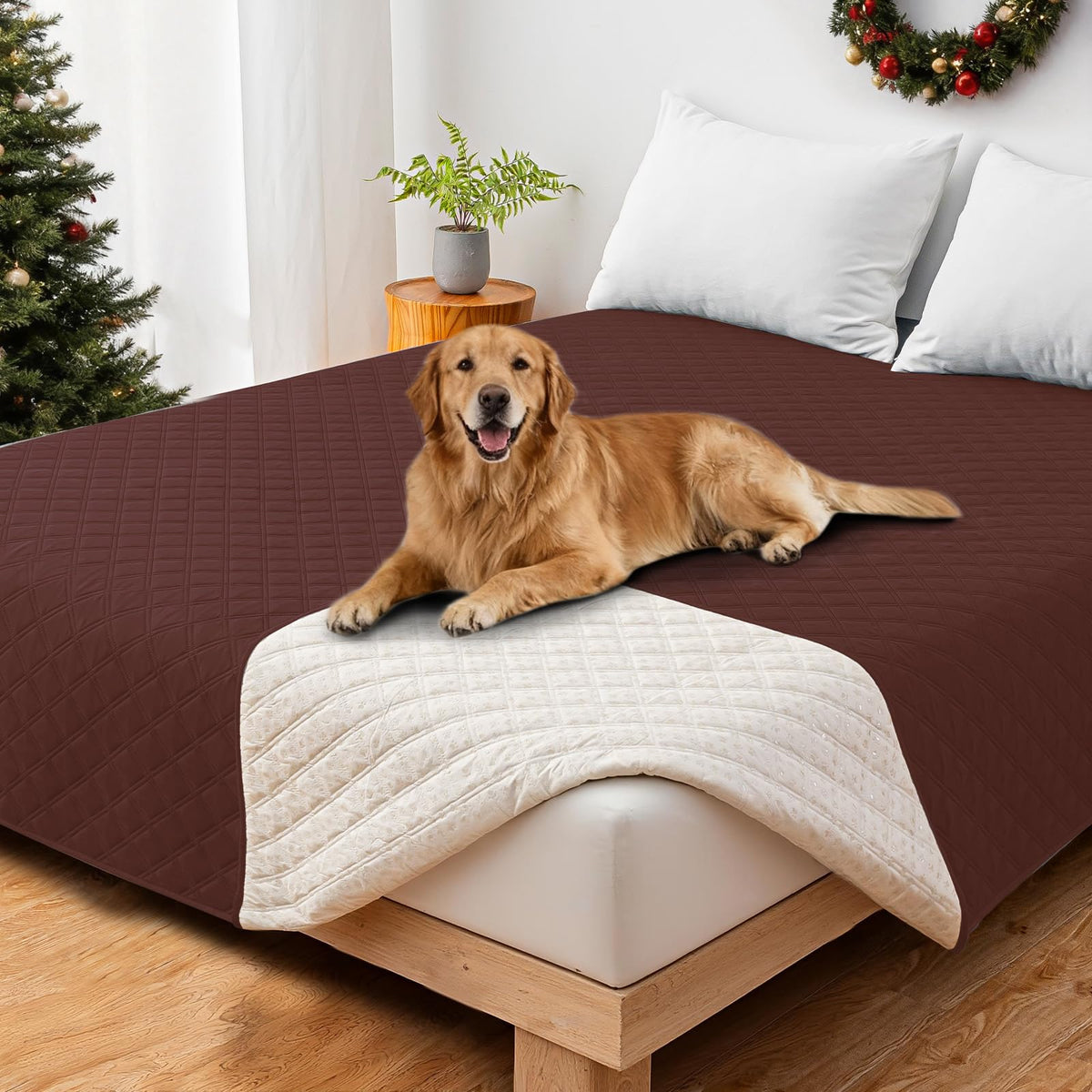 CYCMACO Waterproof Couch Covers for Pets, Waterproof Dog Bed Cover, Anti-Slip Soft Dog Blankets, Couch Cover for Dogs Washable, Pet Blanket for Puppy Large Dogs Cat (68x82 Inch, Beige)