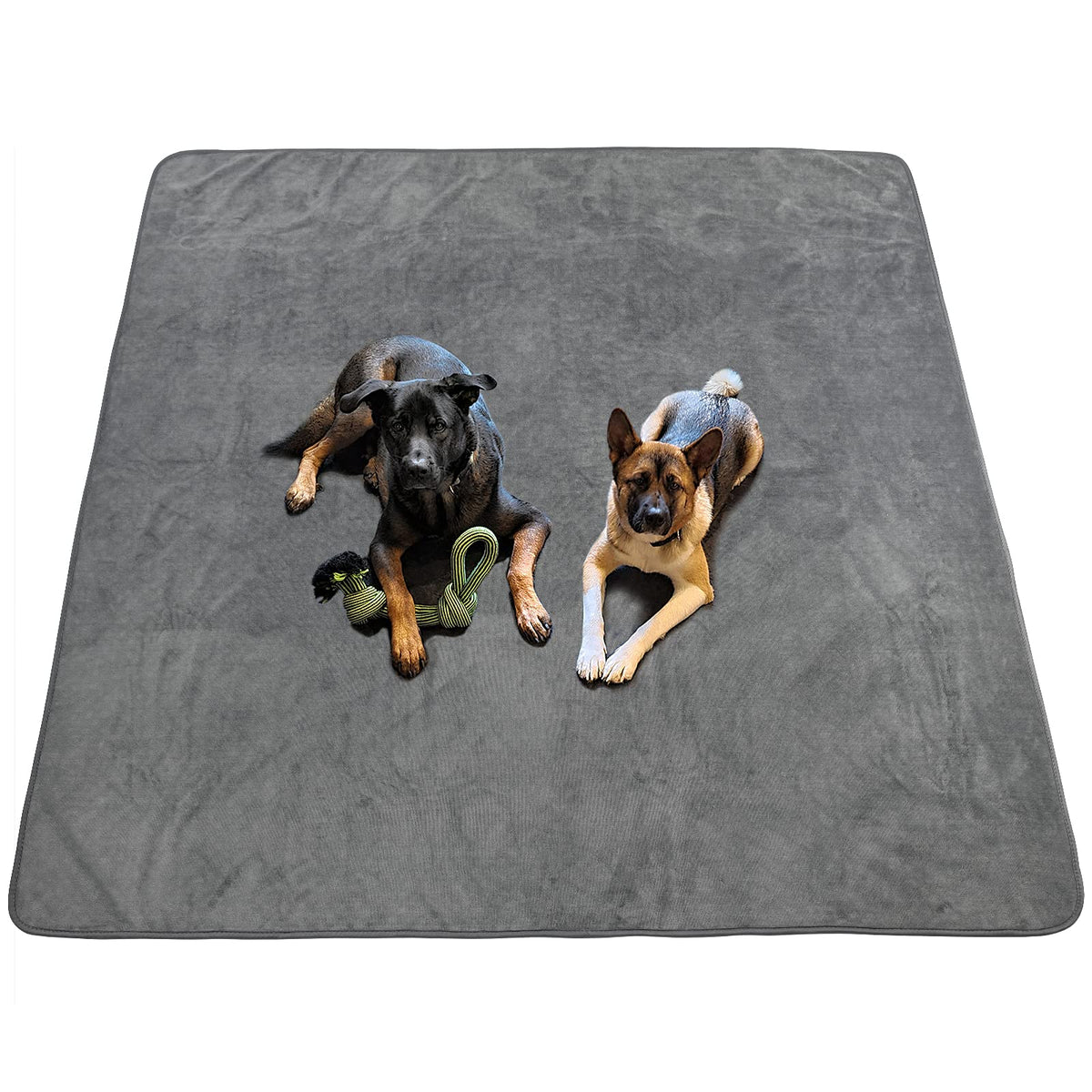 Washable Pee Pads for Dogs, Absorbent Extra Large Dog Mat, Non-Slip, 65x48