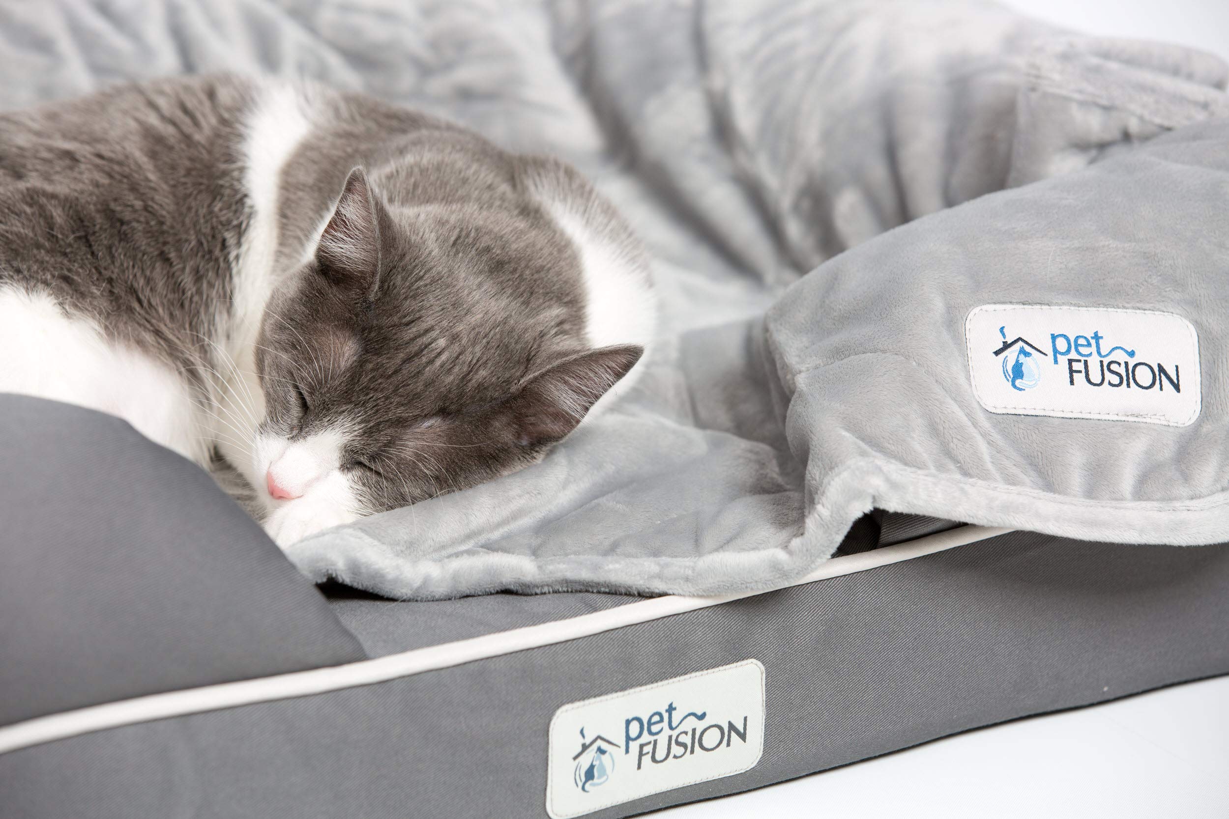 PetFusion Ultimate Dog Bed, Orthopedic Memory Foam, Multiple Sizes and Colors, Medium Firmness Pillow, Waterproof Liner, YKK Zippers, Breathable 35% Cotton Cover