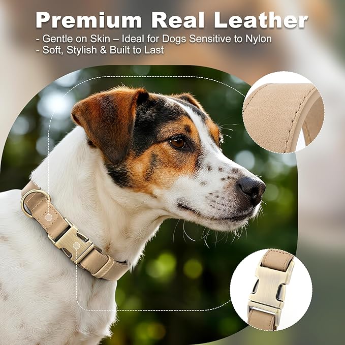 Plutus Pet Genuine Leather Dog Collar – Adjustable Pet Collar with Quick Release Metal Buckle, Soft Real Leather for Small Medium Large Dogs, Heavy Duty & Skin-Friendly (Beige, XS)