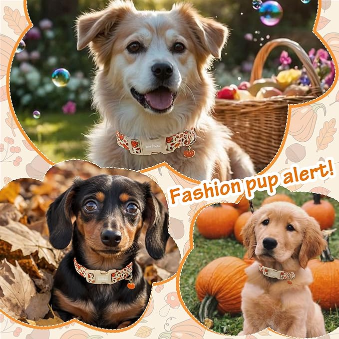 Fall Dog Collar – Halloween & Thanksgiving Dog Collars for Large Dogs – Soft & Comfortable Autumn Puppy Collar with Quick Release Buckle, Large Dog Collars for Girl Boy Dogs-L