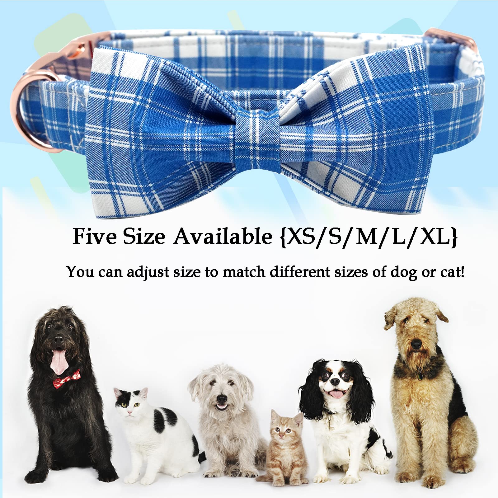 Lionheart glory Dog Collar, Boy Dog Collar Bowtie Blue Adjustable Dog Bowtie Collar Bows Dog Collar for Small Dogs