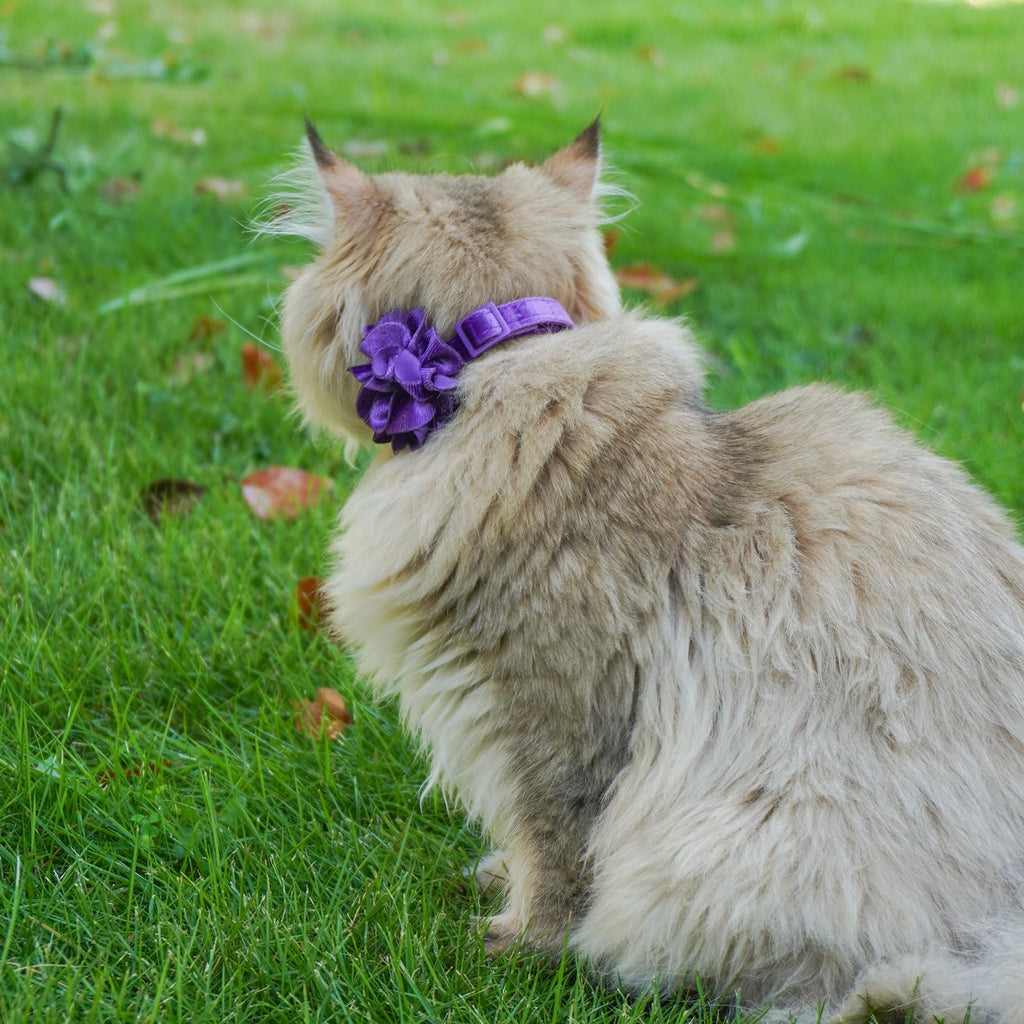 azuza 2 Pack Breakaway Cat Collars with Bells, Velvet Floral Cat Collar