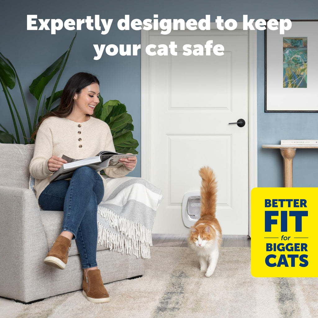 PetSafe Big Cat Door, Interior/Exterior, 4-Way Lock, Soft-Close, Up to 25lb