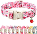 Babole Pet Strawberry Bow Dog Collar for Puppy Small Dogs - Cute Pink Spring/Summer Girl Dog Collars, Lightweight Adjustable Female Girly Dogs Collars with Quick Release Buckle XS