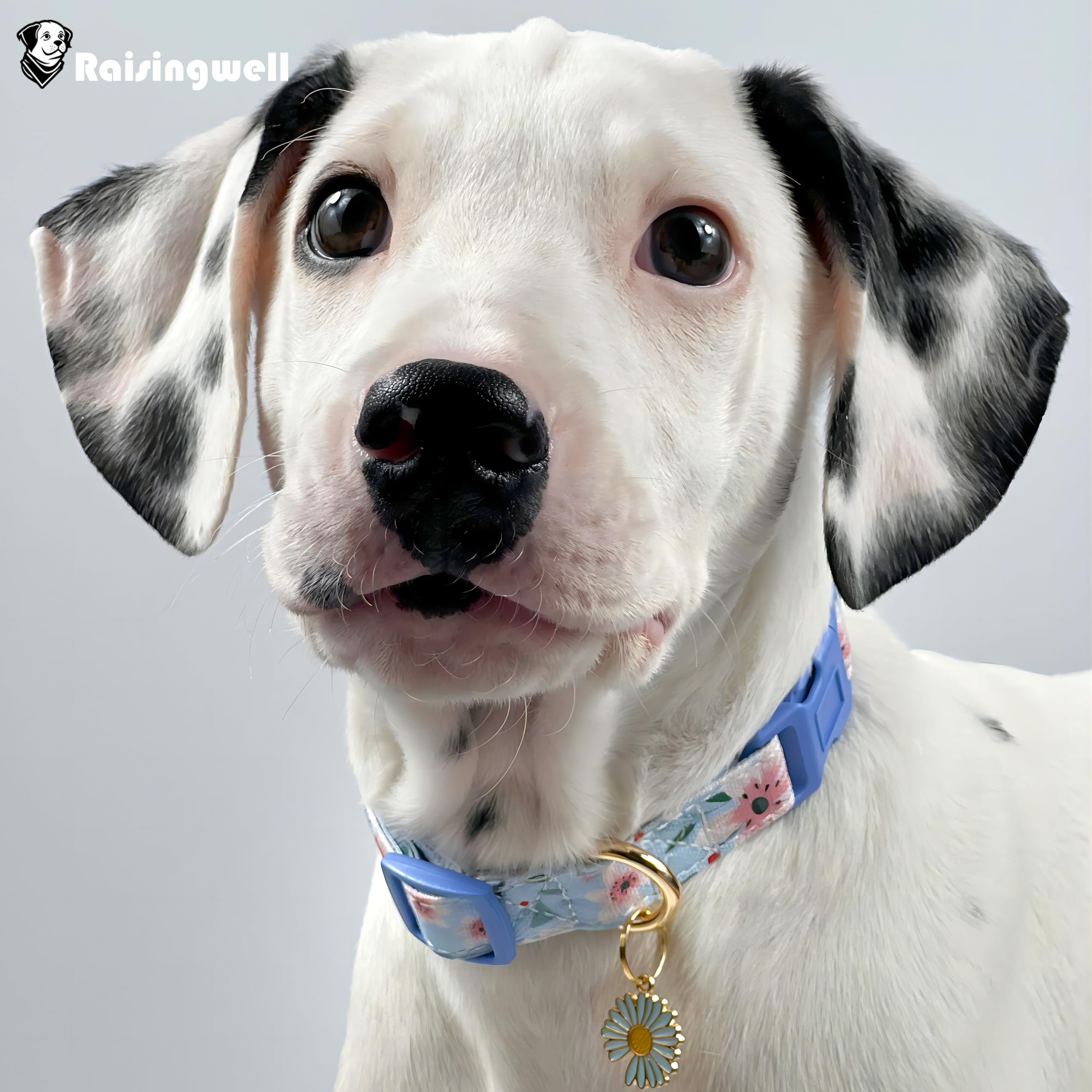 Raisingwell Cotton Dog Collar Blue Flower Pattern for Boys and Girls Cute Dog Collars Summer Fall Gift Adjustable for Medium to X-Large Breed Dogs (L)