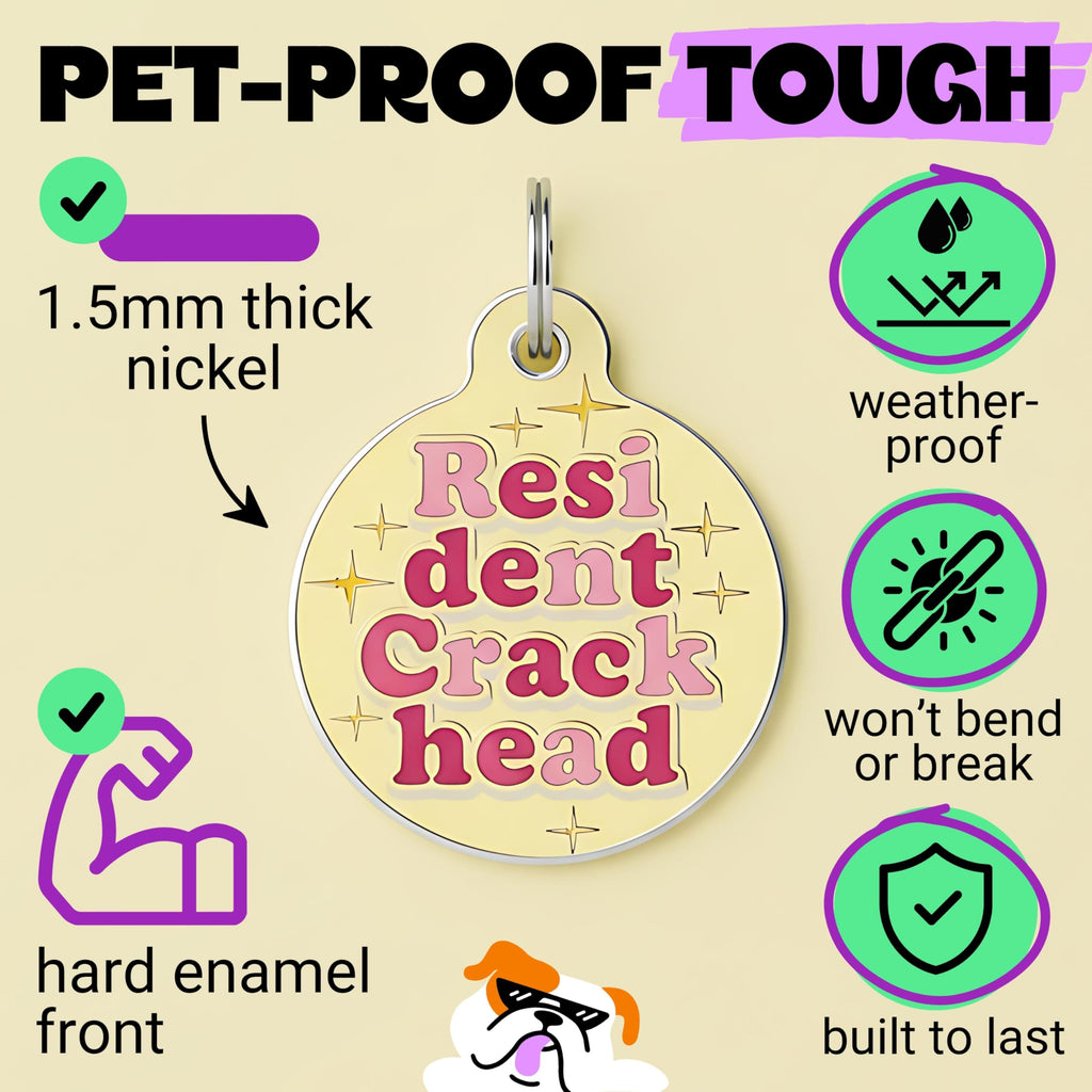 Bad Tags Personalized Dog and Cat ID Tags in 25+ Designs and 2 Sizes - 5 Lines of Custom Engraved Text - Funny Cute Personalized Pet Tags (Resident Crackhead - Yellow, Large (1.25 inch))