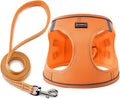 Dog Harness with Leash Set, No Pull Adjustable Reflective Step-in Puppy Pet Vest Harnesses for Small Medium Large Dogs and Cats,Orange XS