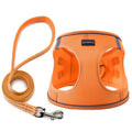 Dog Harness with Leash Set, Step-in Adjustable Puppy Pet Vest,Blue Stripe L