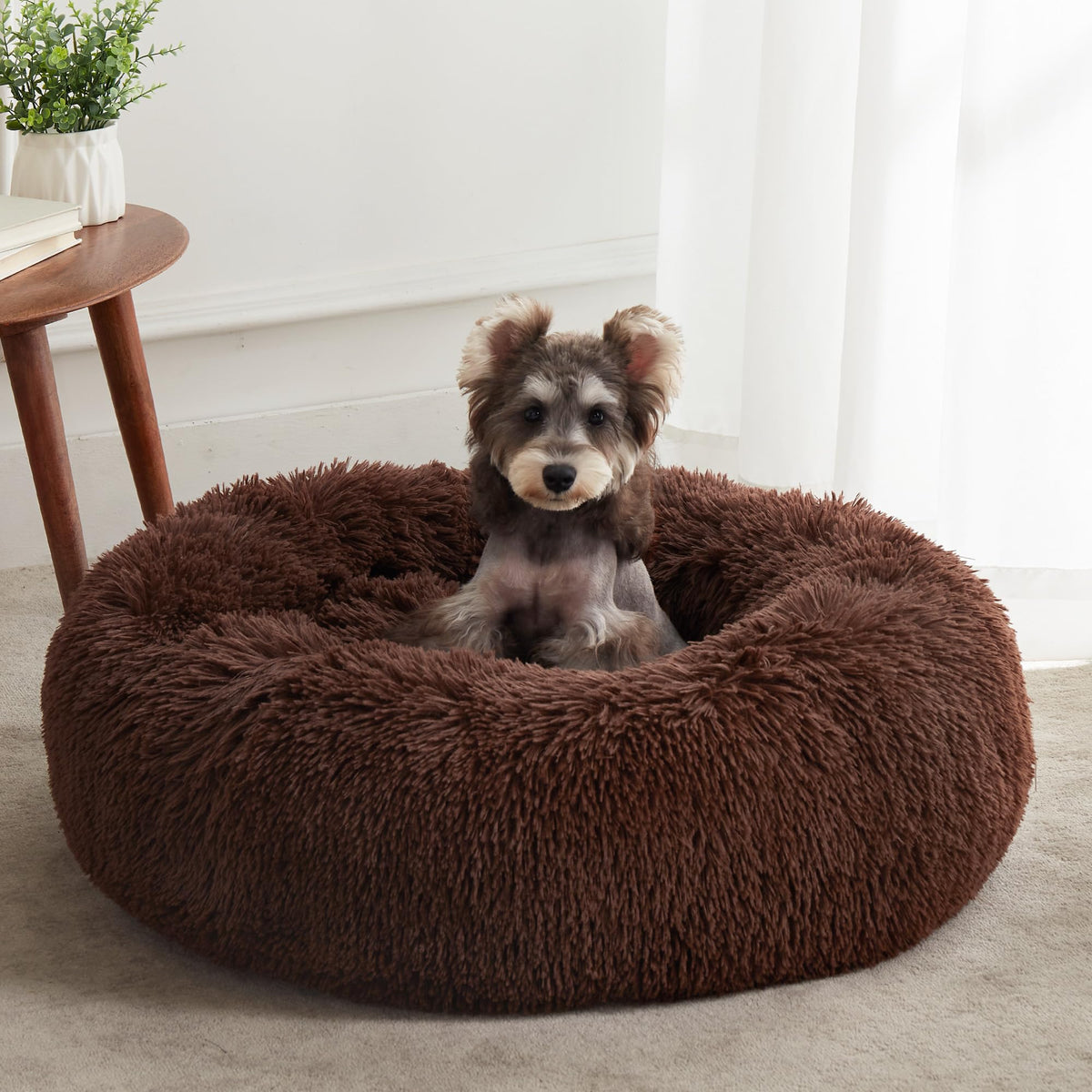Western Home Calming Donut Small Dog Cat Bed Washable Puppy Bed,24" Rainbow