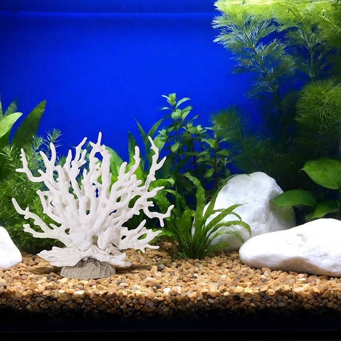Xyembu Fish Tank Fake Coral, Artificial Aquarium Coral Ornament, Aquarium Decor Plastic Plant Small, Multi-Purpose Simulation Water Grass, Faux Aquariums Ornament