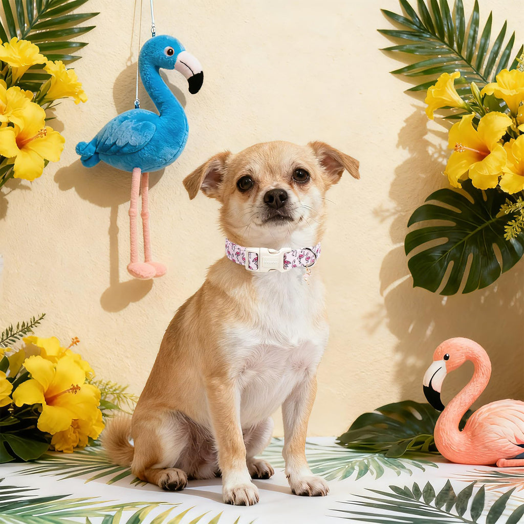 DOGWONG Cute Pet Dog Collar Pink Flamingos Cotton Dog Collar- Soft Girl Puppy Adjustable Pet Collars for Small Medium Large Dogs,S