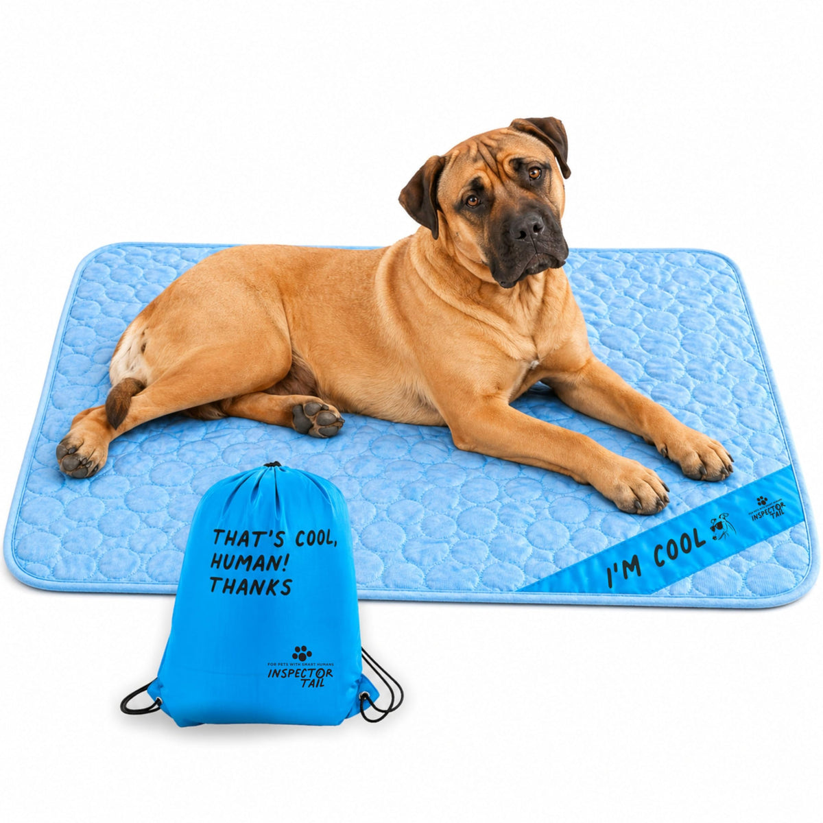 INSPECTOR TAIL Dog Cooling Mat, Indoor & Outdoor, Medium Self Cooling Pad