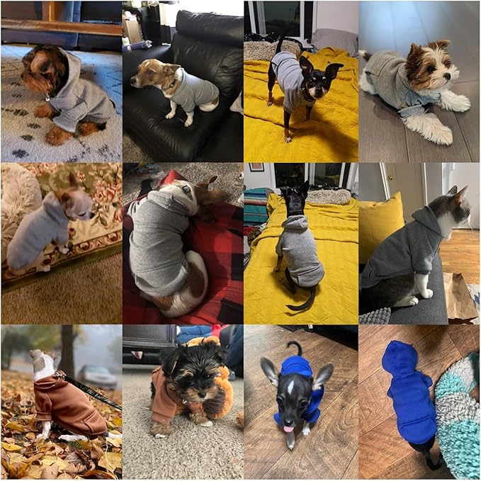 Jecikelon Winter Dog Hoodie Sweatshirts with Pockets Warm Dog Clothes for Small Dogs Chihuahua Coat Clothing Puppy Cat Custume (Grey, Small)