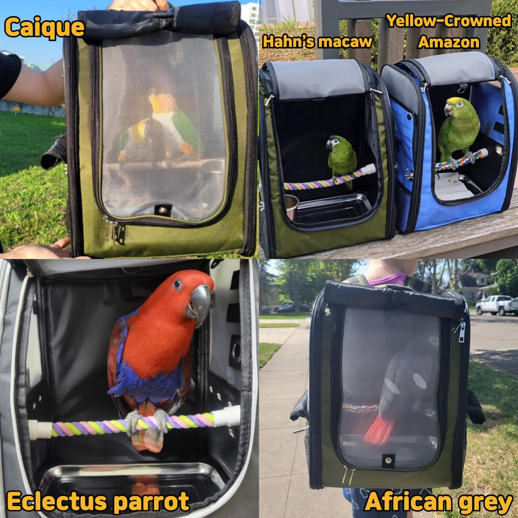 Birds Day Bird Carrier Backpack - Breathable Mesh Portable Parrot Travel Cage with 2PCS Perch, Food Bowl, and Stainless Steel Tray (Charcoal Gray)