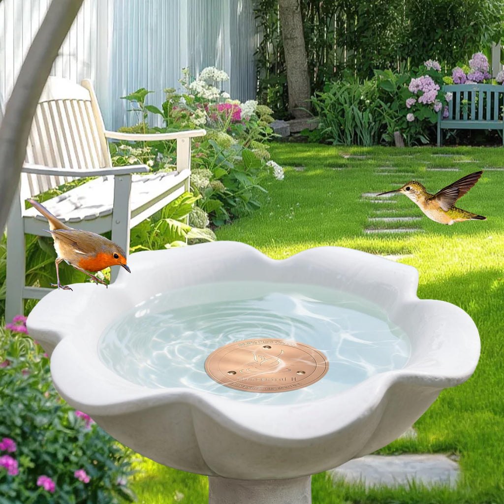 TIANCENTRAL H Bird Bath Copper Disk 2PCS-99.99% Pure Copper Cleaning Disk with Triple-Point Support 1mm Reinforced Water Purification Disk for Bird Baths,4 Inch