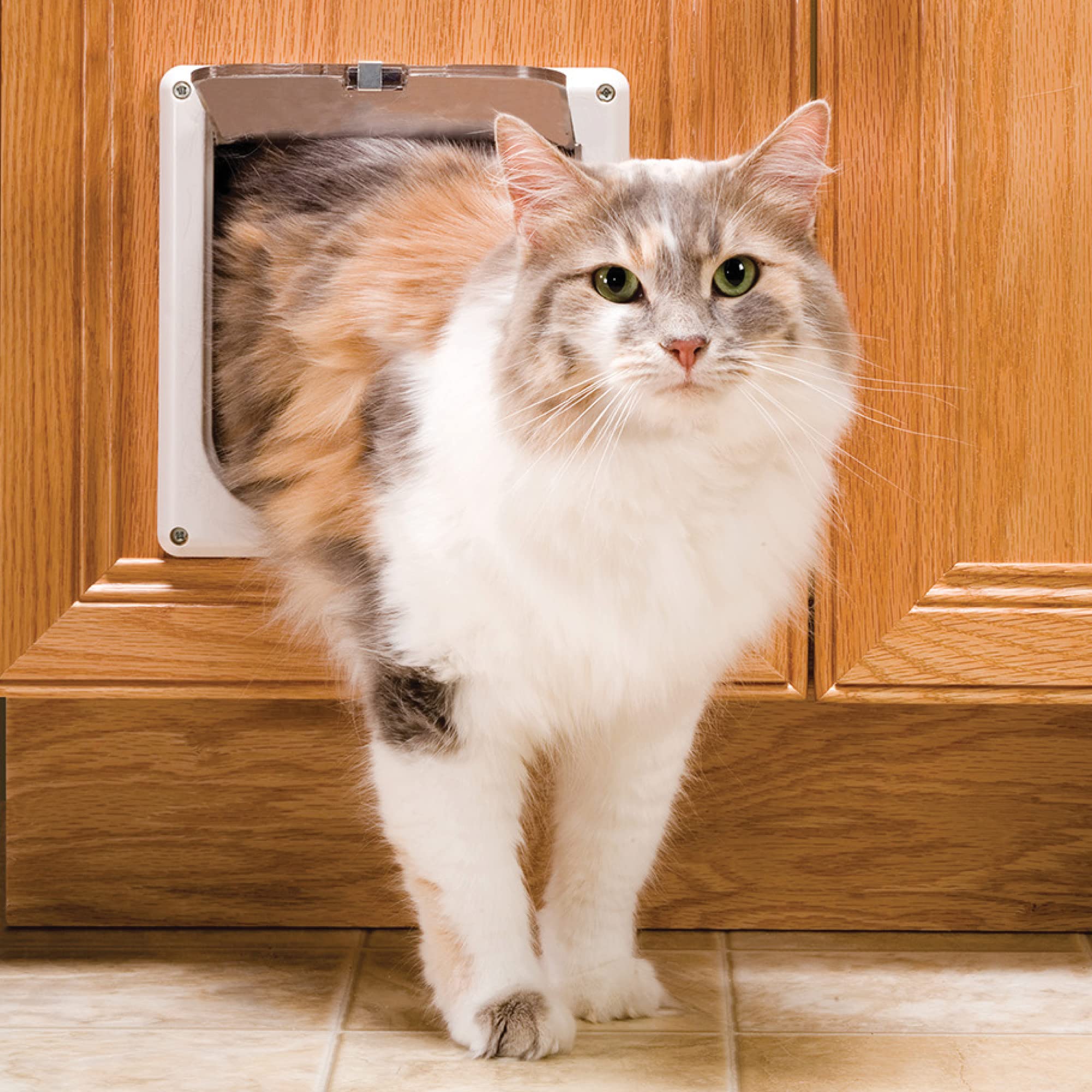 PetSafe Interior Cat Door, 2-Way Lock, White, Cats up to 15 lb