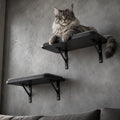 Wood Cat Wall Curved Bed with Sisal Mat, Cats Shelf for Sleeping Scratching