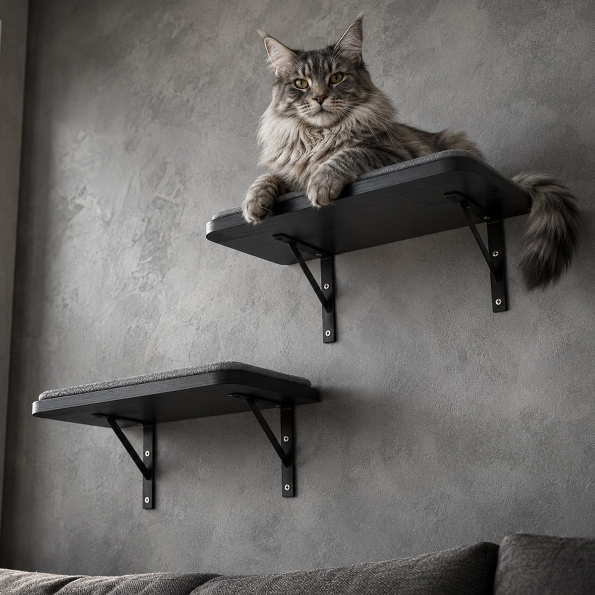 Wood Cat Wall Curved Bed with Sisal Mat, Cats Shelf for Sleeping Scratching