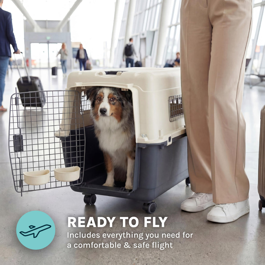 SportPet Airline Compliant LARGE 31.5" Travel Dog Kennel-Durable Plastic Airline Pet Carrier w/ Removable Wheels & Food Bowls, Collapsible Indoor/Outdoor Dog Kennel, Dogs up to 28"L & 20"H-Cream/Gray