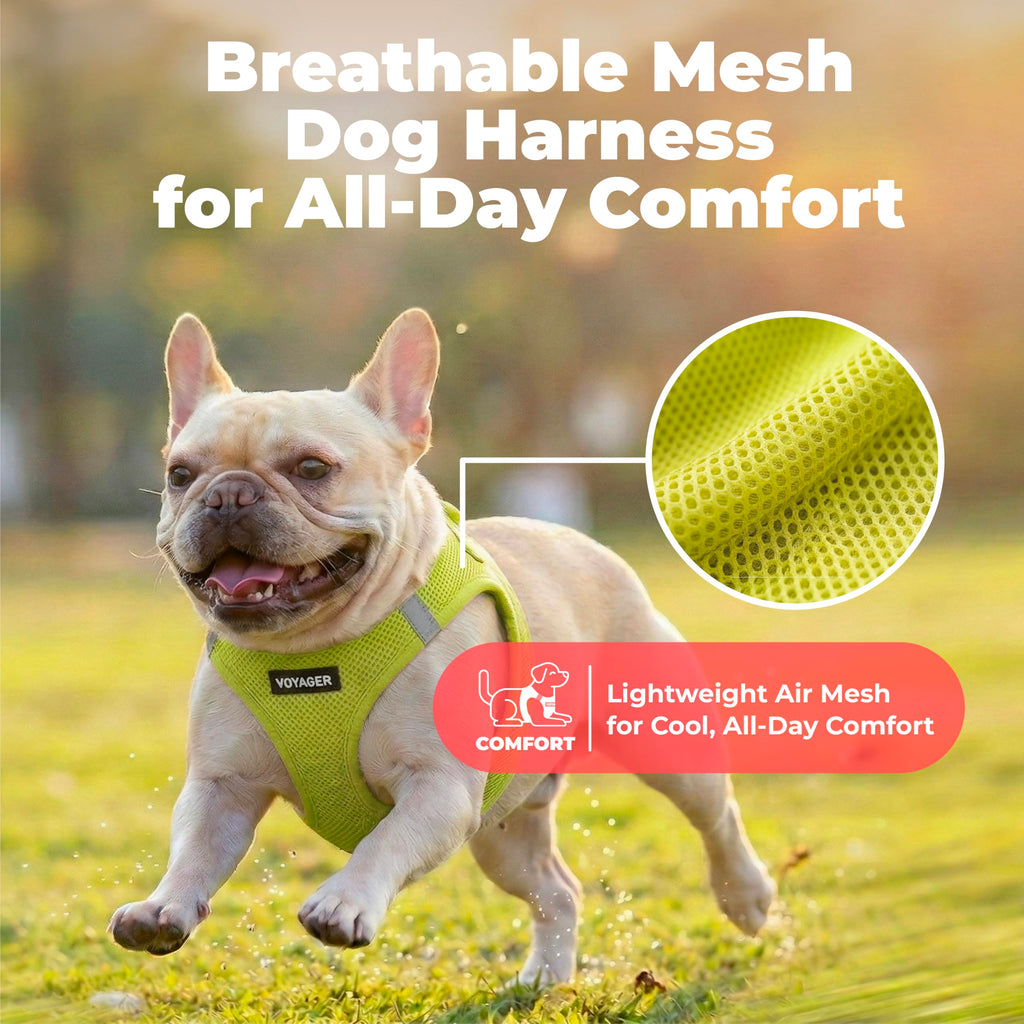 Voyager Step-in Air Dog Vest Harness - Lime Green, XXX-Small