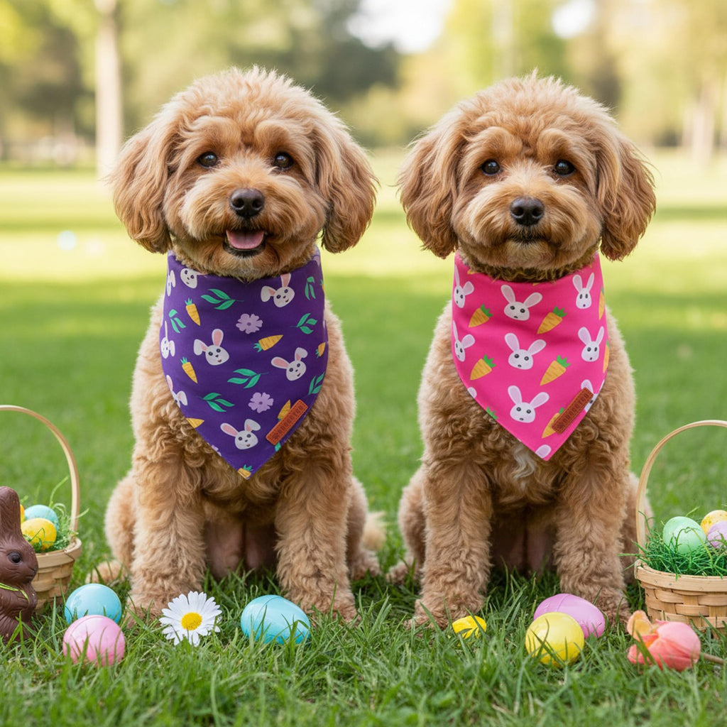 ADOGGYGO Easter Dog Bandana 2 Pack, Bunny Carrot Print Triangle Pet Scarf, Premium Fabric, Reversible Purple Pink Easter Bandana for Small Dogs (Small)
