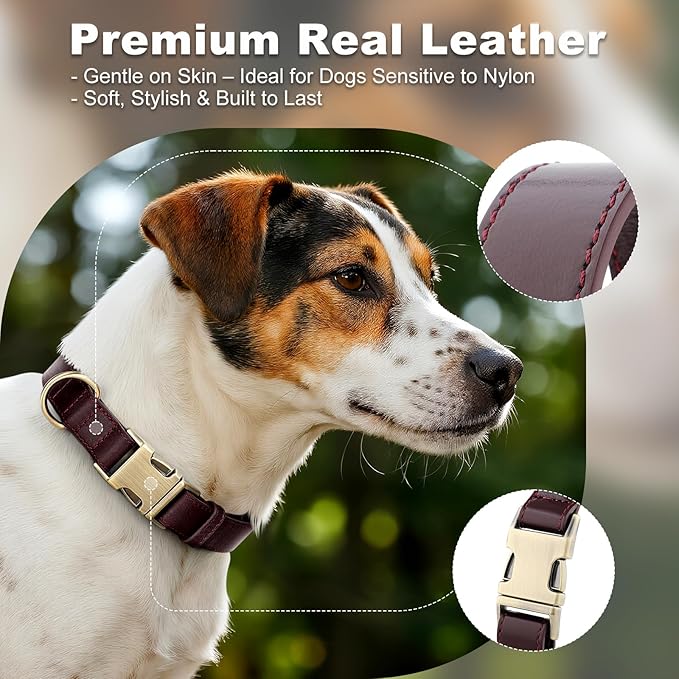 Plutus Pet Genuine Leather Dog Collar – Adjustable Pet Collar with Quick Release Metal Buckle, Soft Real Leather for Small Medium Large Dogs, Heavy Duty & Skin-Friendly (Copper Brown, S)