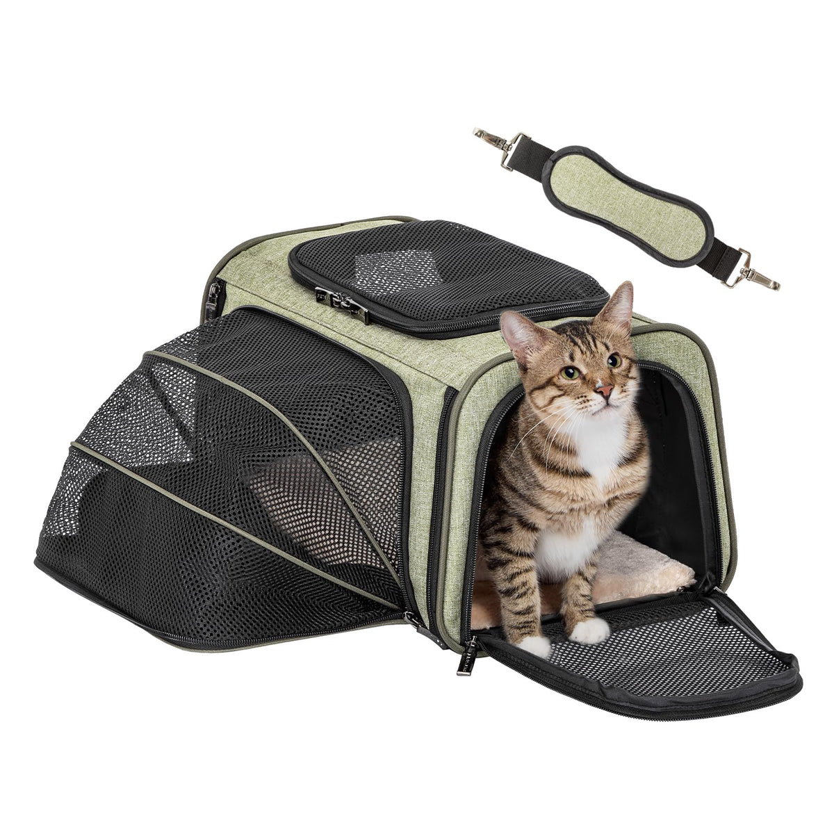 Petsfit Small Expandable Cat Carrier for Air Travel, Up to 9 lb
