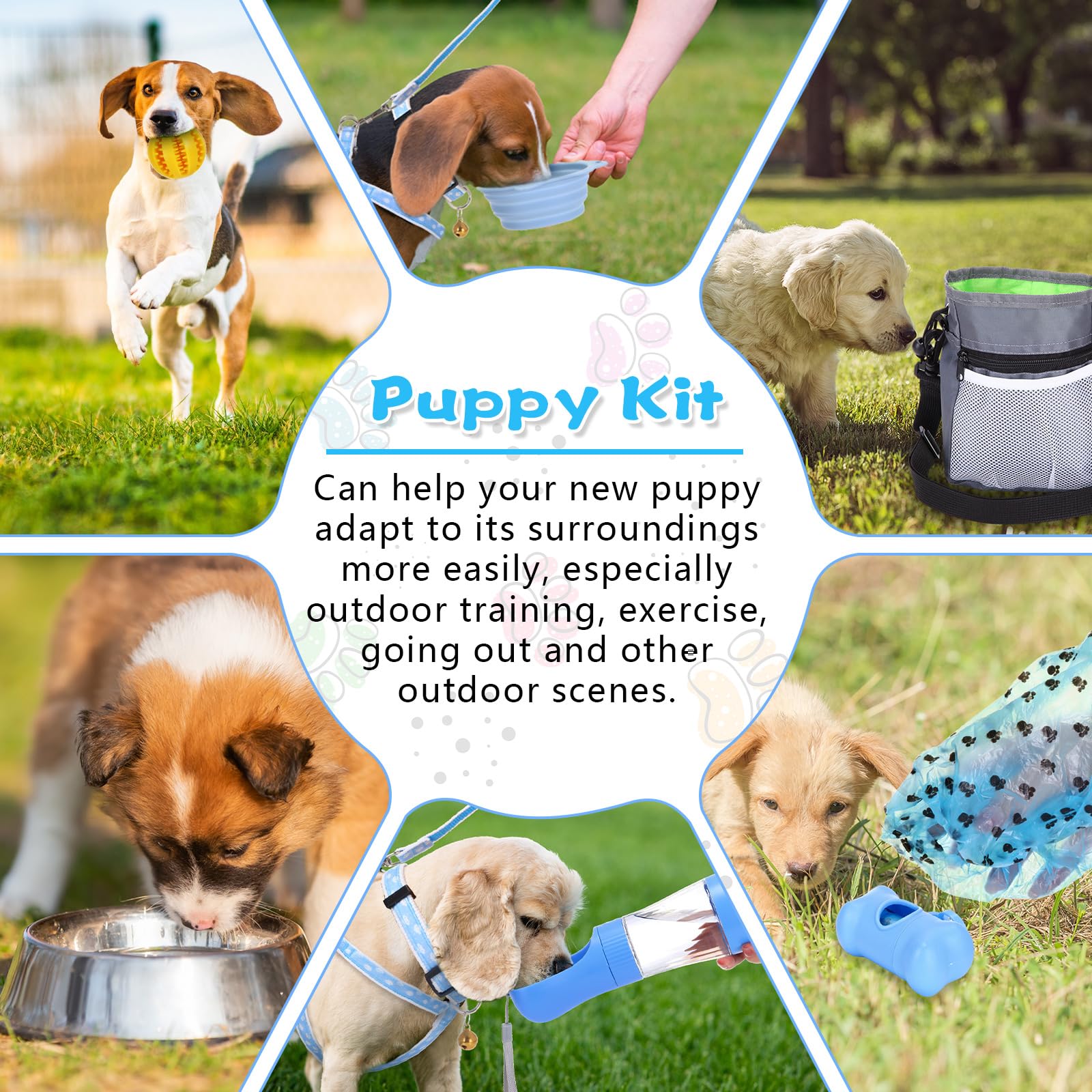 PullCrease 65 Pcs Puppy Supplies Starter Kit Small Dog Essentials Includes Dog Leash, Toys, Bowl, Brushes, Water Bottles, pet Blankets Puppy Accessories for New Welcome Gift Supplies(Cool,Blue)