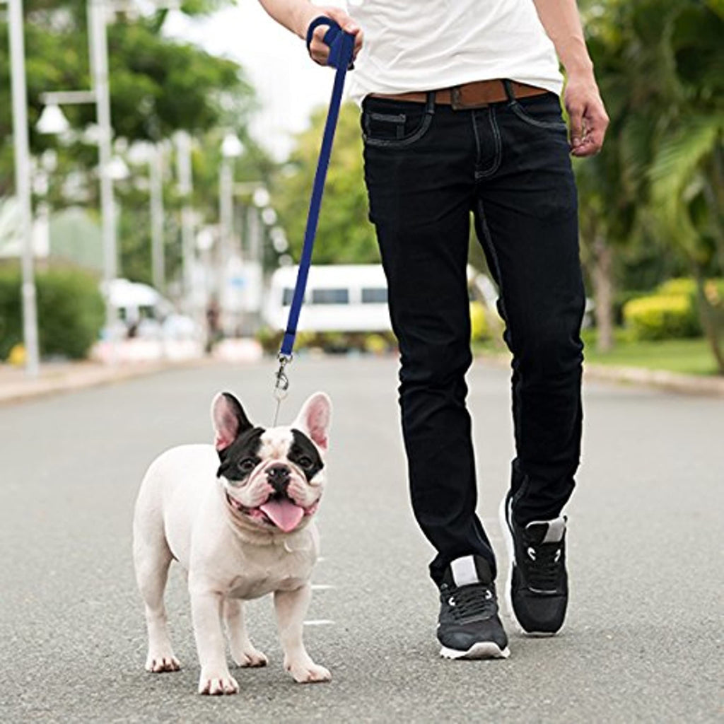 Long Dog Puppy Obedience Recall Training Agility Lead, Leash - BLUE, 15' Foot - by, Downtown Pet Supply