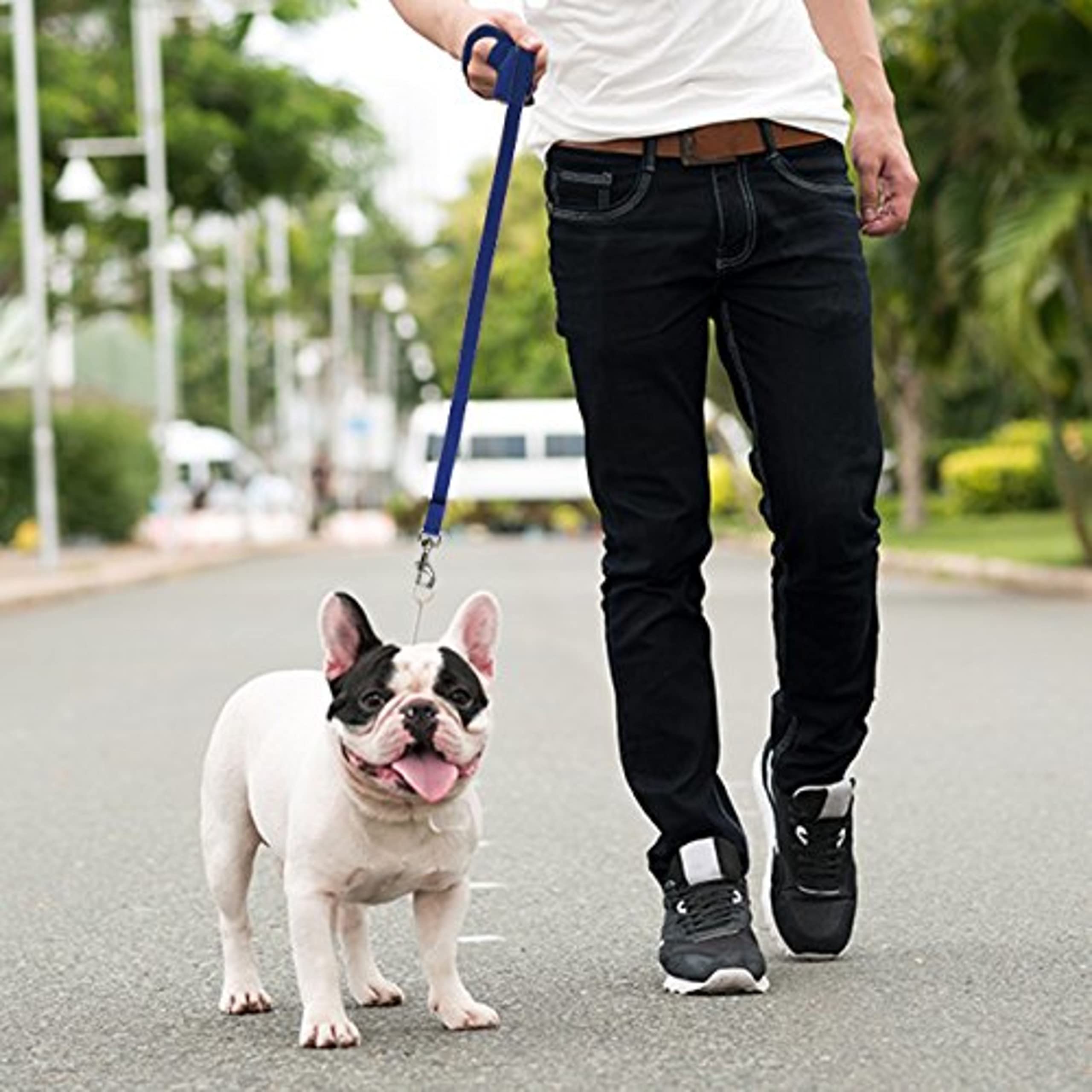 Long Dog Puppy Obedience Recall Training Agility Lead, Leash - BLUE, 15' Foot - by, Downtown Pet Supply