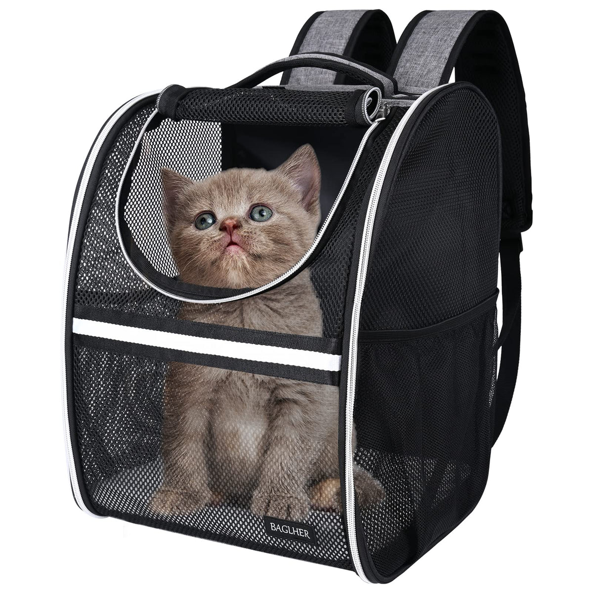 BAGLHER Expandable Pet Carrier Backpack，Pet Backpack for Small Cats Puppies Dogs Bunny, Airline-Approved Ventilate Backpack for Travel, Hiking and Outdoor Use. Purple