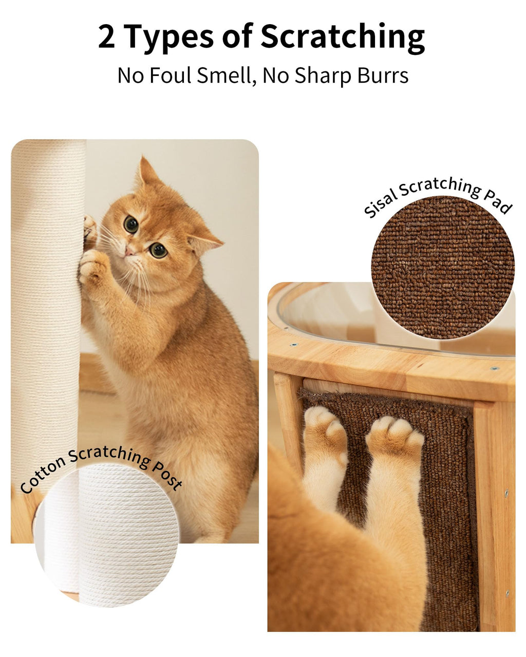 PETTIFUL Wood Cat Tree for Large Cats, Modern Cat Tree Tower with Wide Shelves Cotton Scratching Posts, Super Sturdy Base, Cozy Perches, and Interactive Toys for Indoor Kittens
