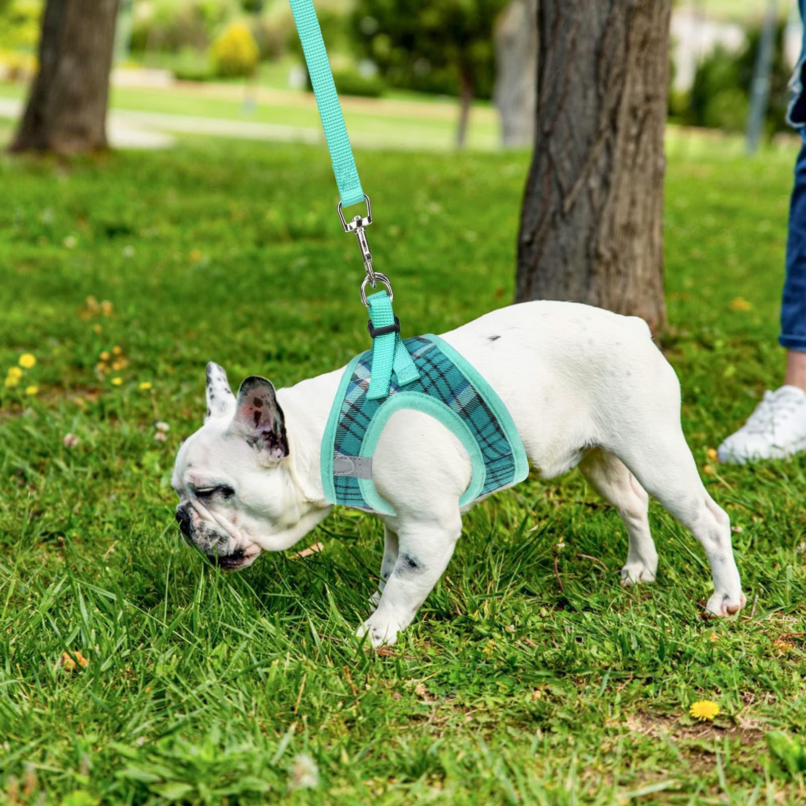 PUPTECK Dog Harness, Collar and Leash Set No Pull for Small Medium Sized