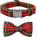 Bobo Rainbow Dog Collar - Thanksgiving Turkey Dog Collar Bowtie Gift Puppy Soft Bow Adjustable Metal Buckle Pet Collar for X-Small Dogs