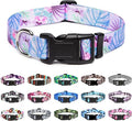 Mercano Adjustable Dog Collar - Special Design Patterns, Soft Nylon Comfortable Sturdy Pet Collar for Small Medium Large Dogs (M — Extra Small
