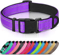 Joytale Reflective Dog Collar, Adjustable Neoprene Padded, Purple M