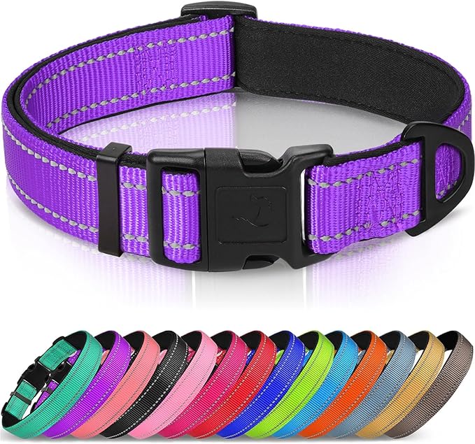 Joytale Reflective Dog Collar, Adjustable Neoprene Padded, Purple M