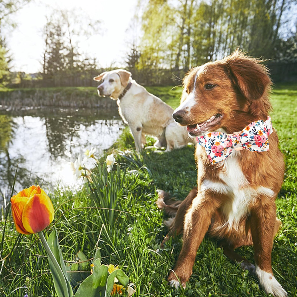 Lionheart glory Dog Collar Bow Collar Floral Dog Collar with Bow Tie Spring Summer Cute Collar Dog Boy or Girl Dog Collars Soft Durable Adjustable Dog Collars for Large Dogs