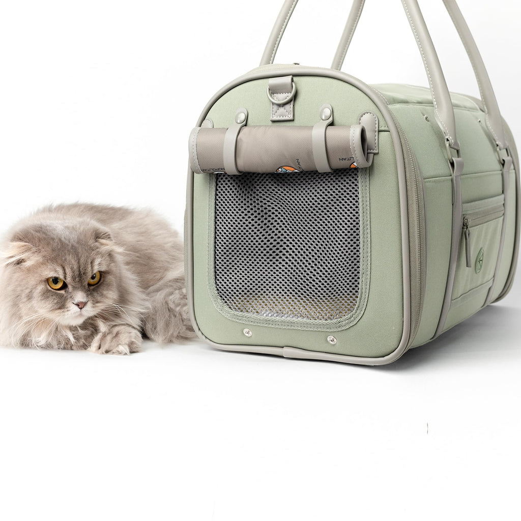 Petropolitan Soft-Sided Pet Carrier for Cats and Small Dogs – Travel Bag with Mesh Ventilation, Airline Cabin-Size Design (Verify with Your Airline), Removable Pad and Safety Leash, Fits up to 20 lb