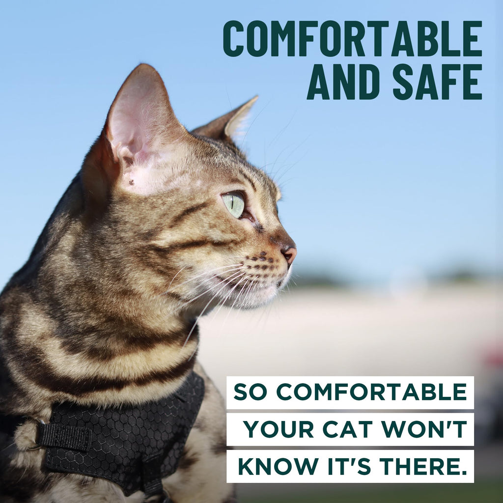 OutdoorBengal Houdini™ Escape Proof Cat Harness and Leash (Orange, M/L)