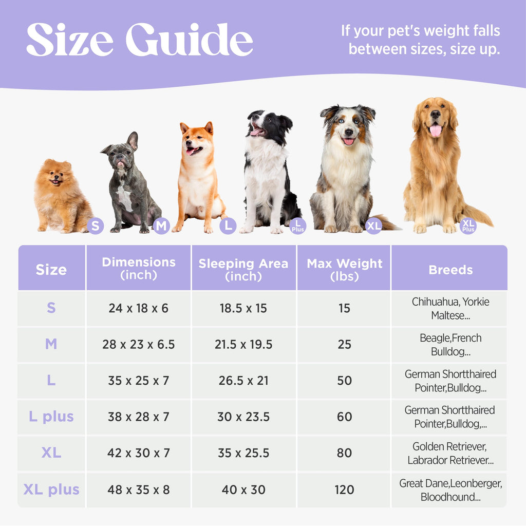 LE SURE Cute Cozy High Back Orthopedic L Plus Dog Bed,38" Grey