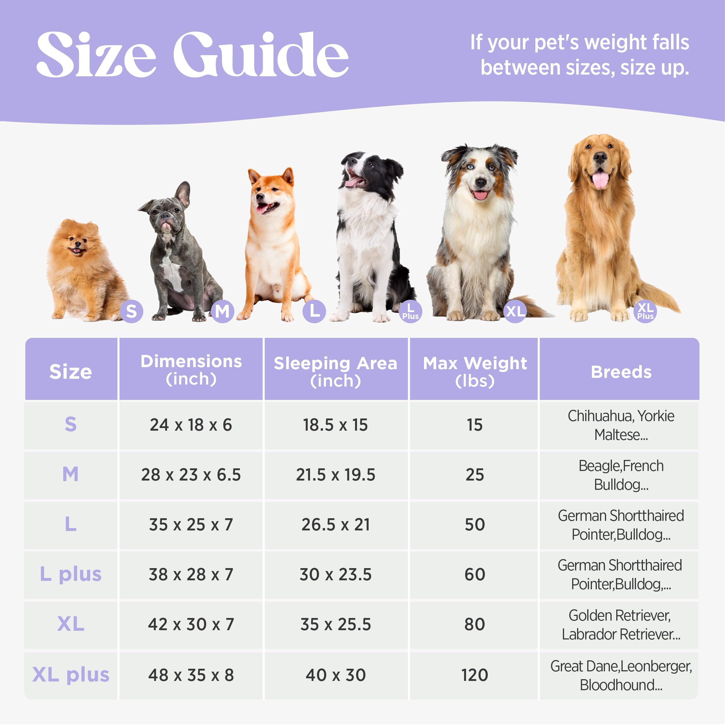 LE SURE Cute Cozy High Back Orthopedic L Plus Dog Bed,38" Grey